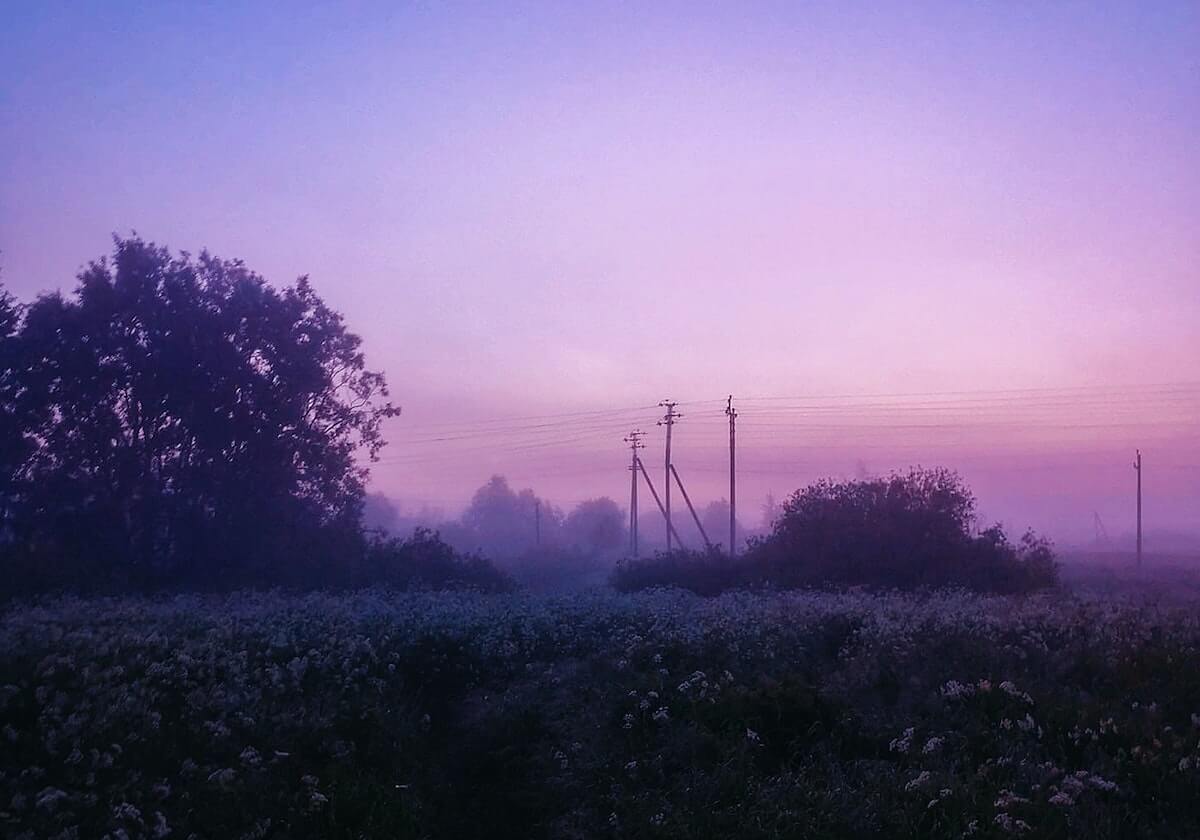 betvictor伟德(中国)唯一官方网站——开启全球体育竞猜的新纪元